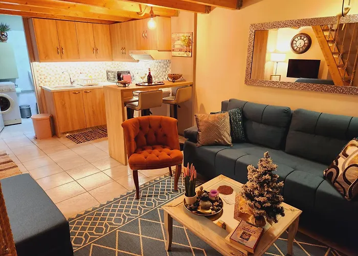 Luxury Loft Apartment Sofia